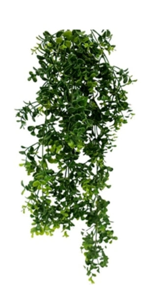 23" Hanging Boxwood Greenery